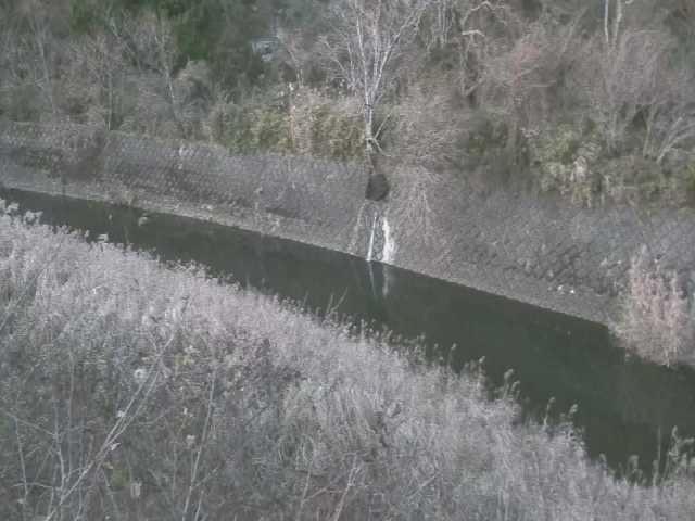 早川 仙石原付近のカメラ画像