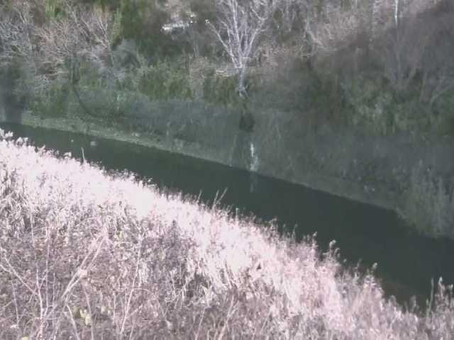 仙石原付近のカメラ画像