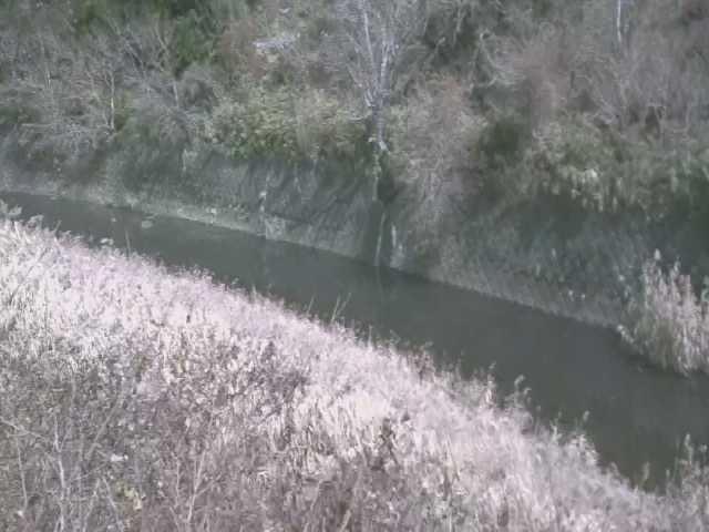 仙石原付近のカメラ画像