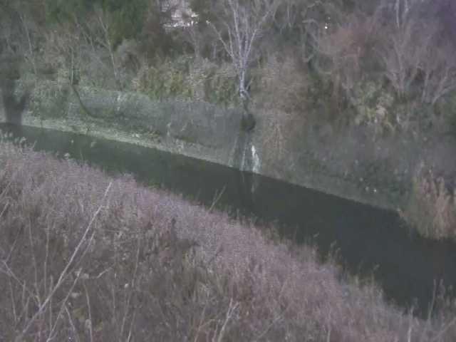 仙石原付近のカメラ画像