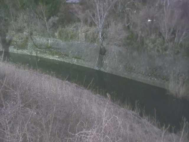 仙石原付近のカメラ画像