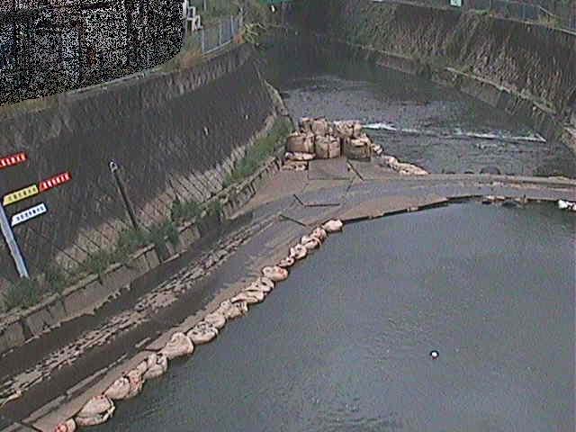 帷子川 宮崎橋付近のカメラ画像