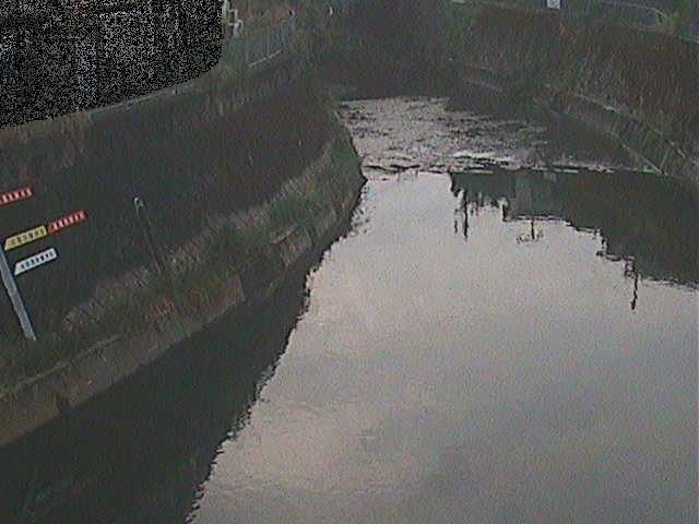 帷子川 宮崎橋付近のカメラ画像