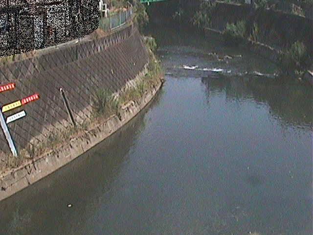 帷子川 宮崎橋付近のカメラ画像