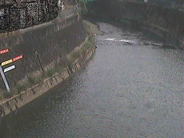 帷子川 宮崎橋付近のカメラ画像