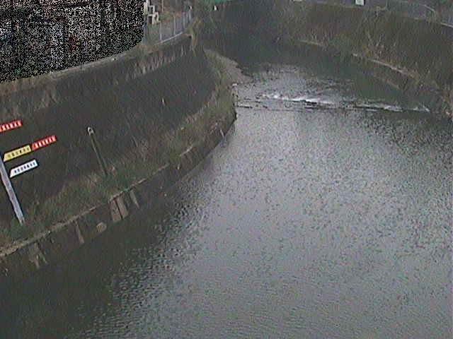 帷子川 宮崎橋付近のカメラ画像