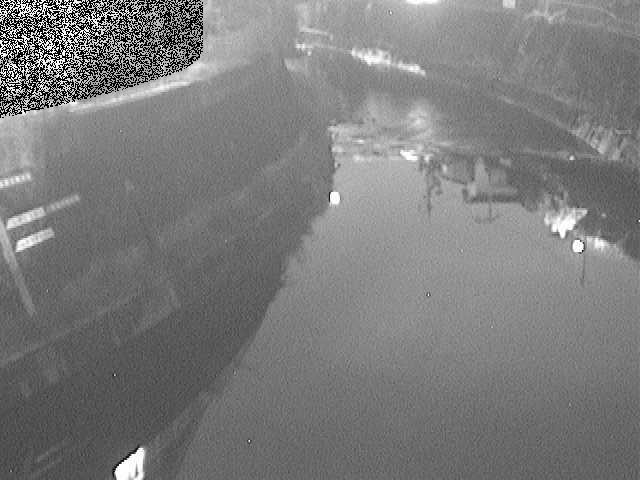 帷子川 宮崎橋付近のカメラ画像