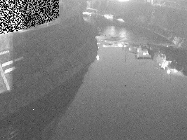 帷子川 宮崎橋付近のカメラ画像