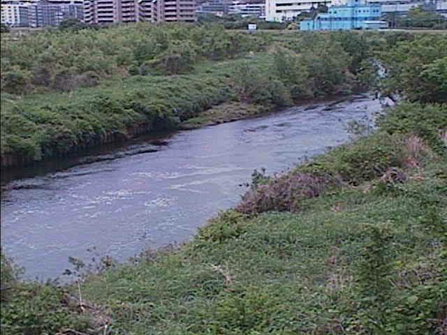 鶴見川 落合橋付近のカメラ画像