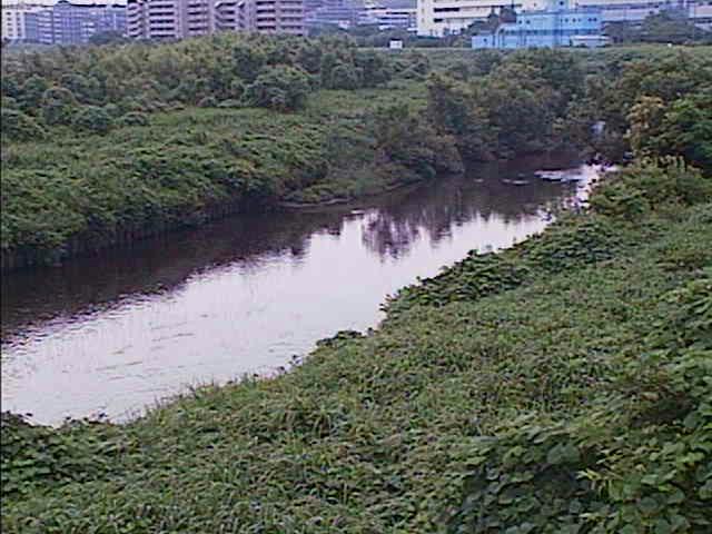 鶴見川 落合橋付近のカメラ画像