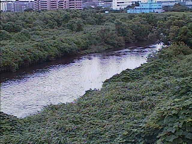 落合橋付近のカメラ画像