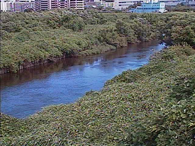 落合橋付近のカメラ画像