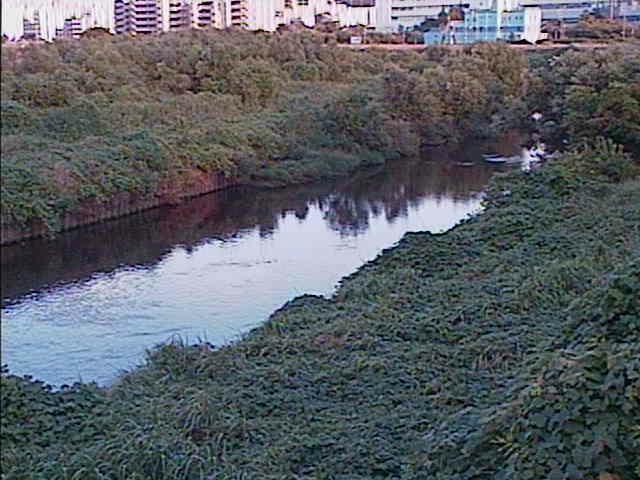 鶴見川 落合橋付近のカメラ画像