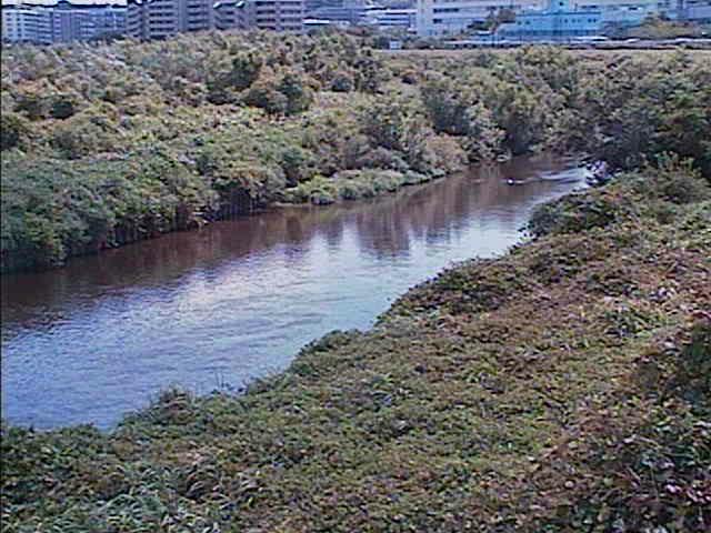 鶴見川 落合橋付近のカメラ画像