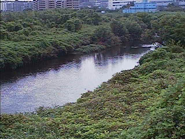 鶴見川 落合橋付近のカメラ画像