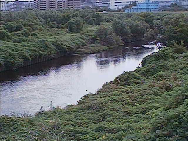 鶴見川 落合橋付近のカメラ画像