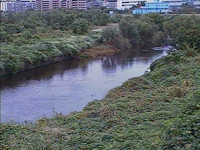 鶴見川 落合橋付近のカメラ画像