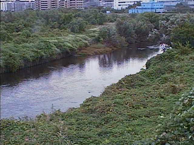 鶴見川 落合橋付近のカメラ画像