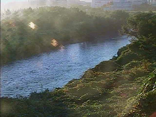 落合橋付近のカメラ画像