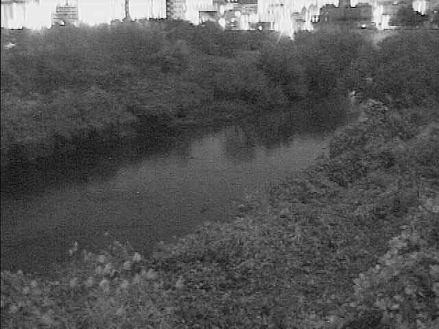 落合橋付近のカメラ画像