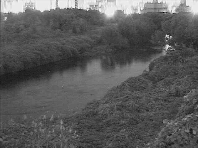 鶴見川 落合橋付近のカメラ画像