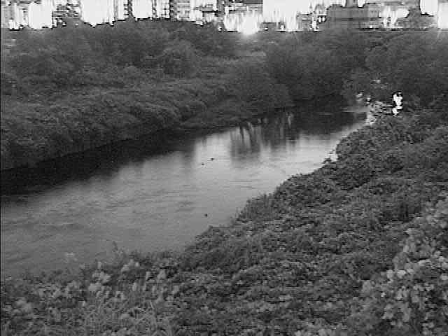 落合橋付近のカメラ画像