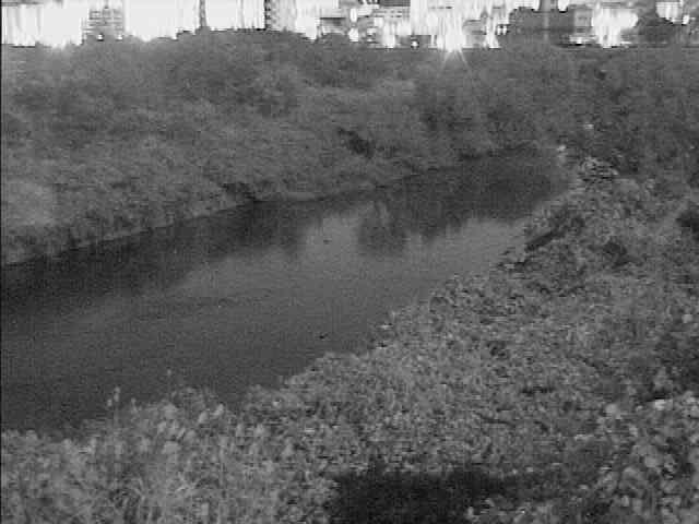 鶴見川 落合橋付近のカメラ画像