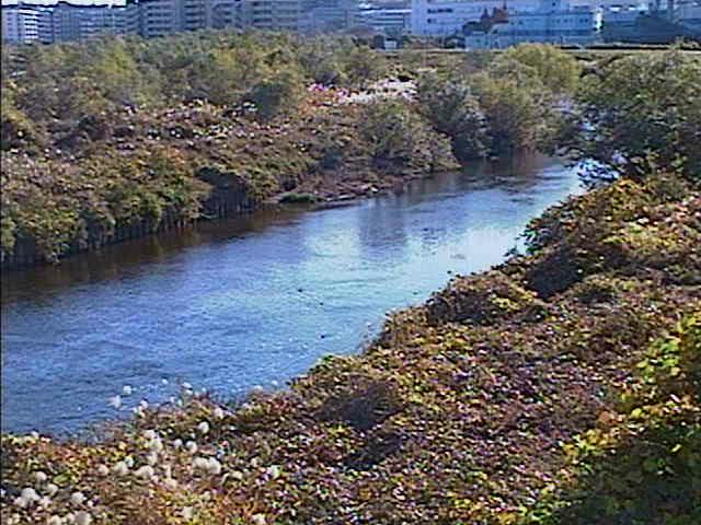 落合橋付近のカメラ画像