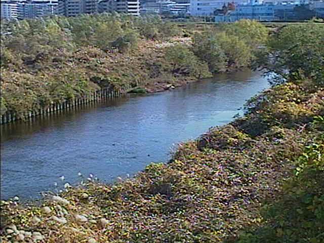 落合橋付近のカメラ画像