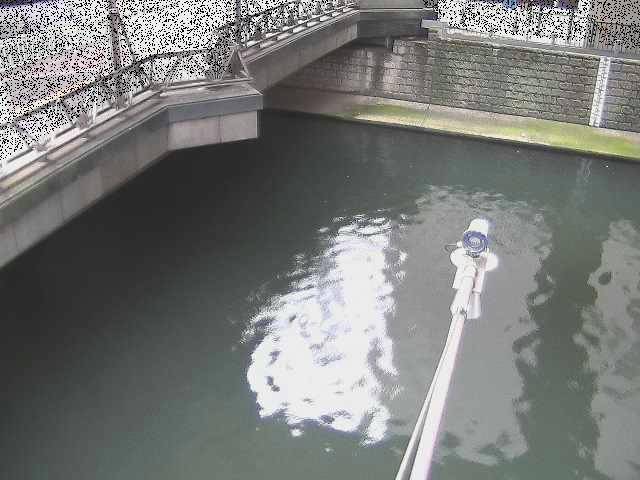 帷子川分水路 西鶴屋橋付近のカメラ画像