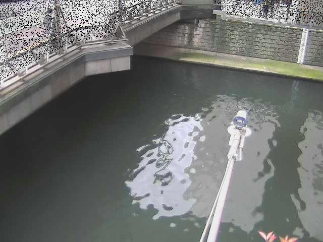 帷子川分水路 西鶴屋橋付近のカメラ画像