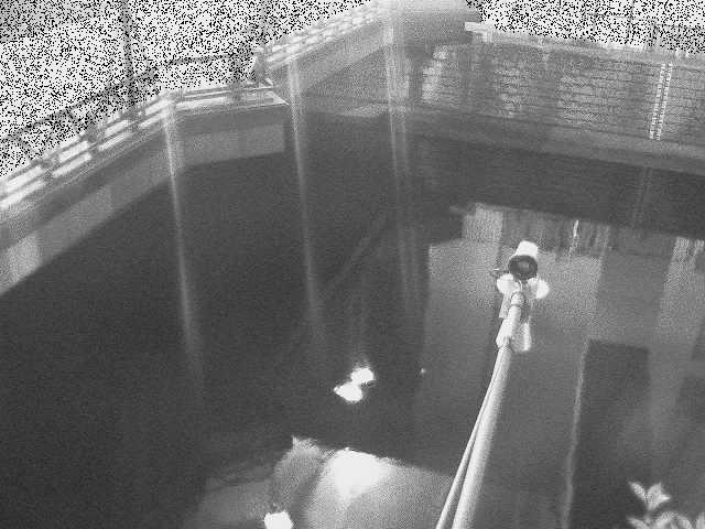 帷子川分水路 西鶴屋橋付近のカメラ画像