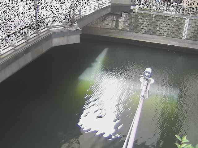 帷子川分水路 西鶴屋橋付近のカメラ画像