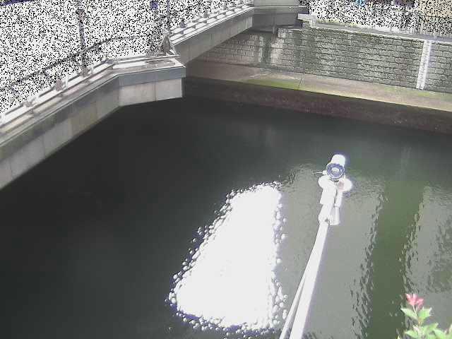 帷子川分水路 西鶴屋橋付近のカメラ画像