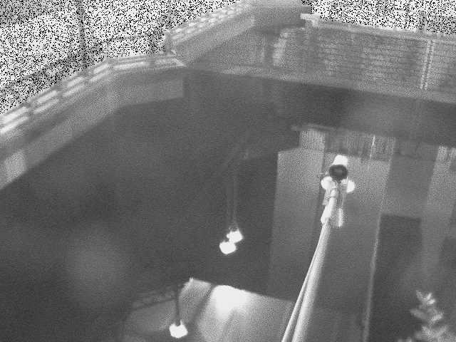 帷子川分水路 西鶴屋橋付近のカメラ画像