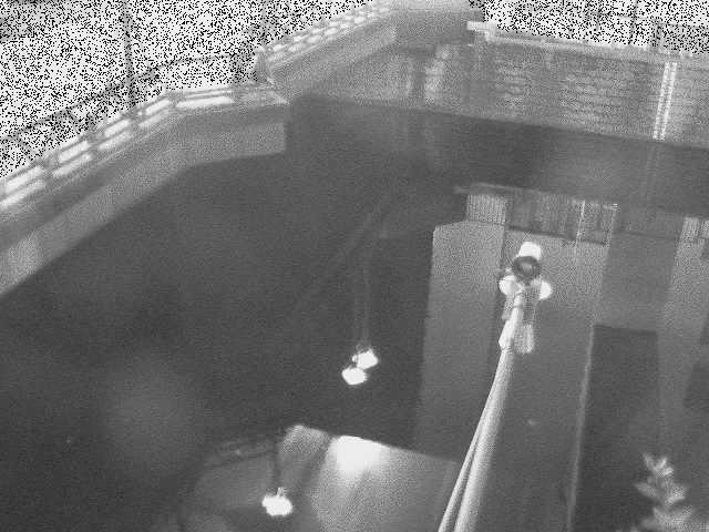 帷子川分水路 西鶴屋橋付近のカメラ画像