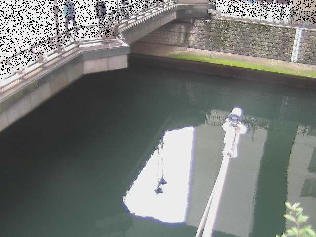 帷子川分水路 西鶴屋橋付近のカメラ画像