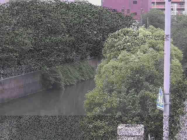 石崎川 石崎橋付近のカメラ画像