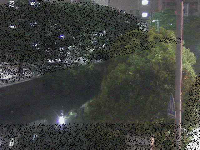 石崎川 石崎橋付近のカメラ画像