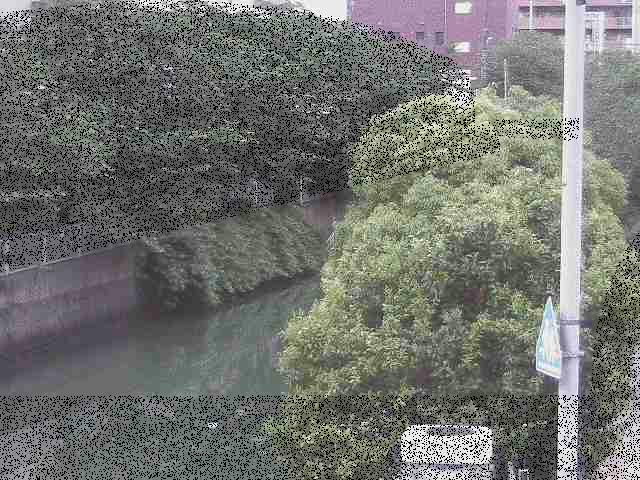 石崎橋付近のカメラ画像