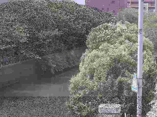 石崎橋付近のカメラ画像