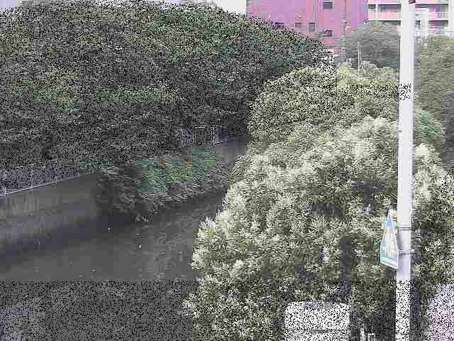 石崎川 石崎橋付近のカメラ画像