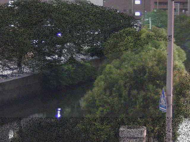 石崎橋付近のカメラ画像