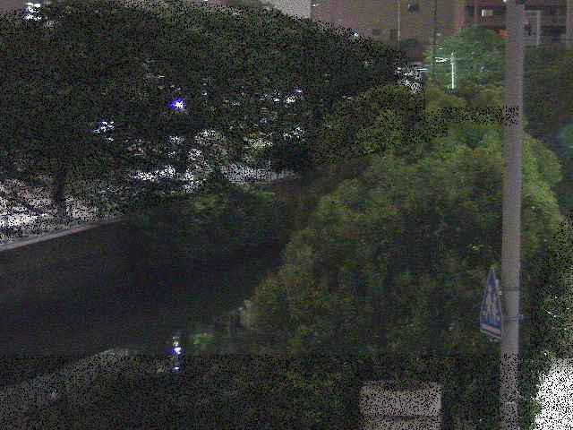 石崎川 石崎橋付近のカメラ画像
