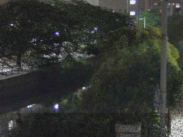 石崎橋付近のカメラ画像