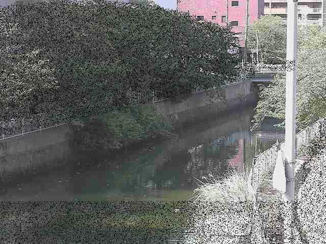 石崎橋付近のカメラ画像