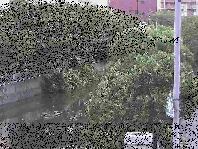 石崎川 石崎橋付近のカメラ画像