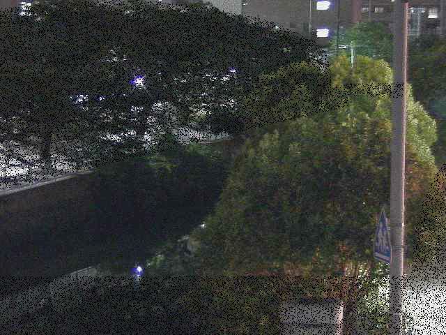 石崎川 石崎橋付近のカメラ画像