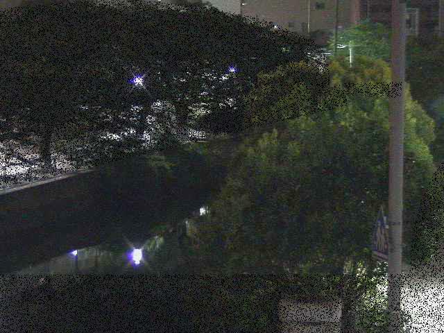石崎橋付近のカメラ画像