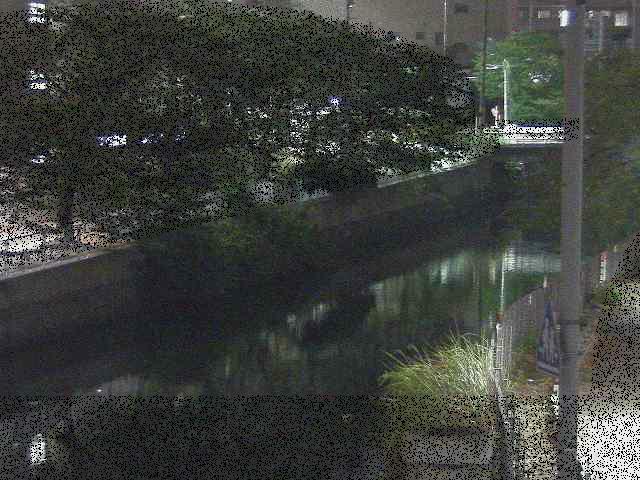 石崎橋付近のカメラ画像